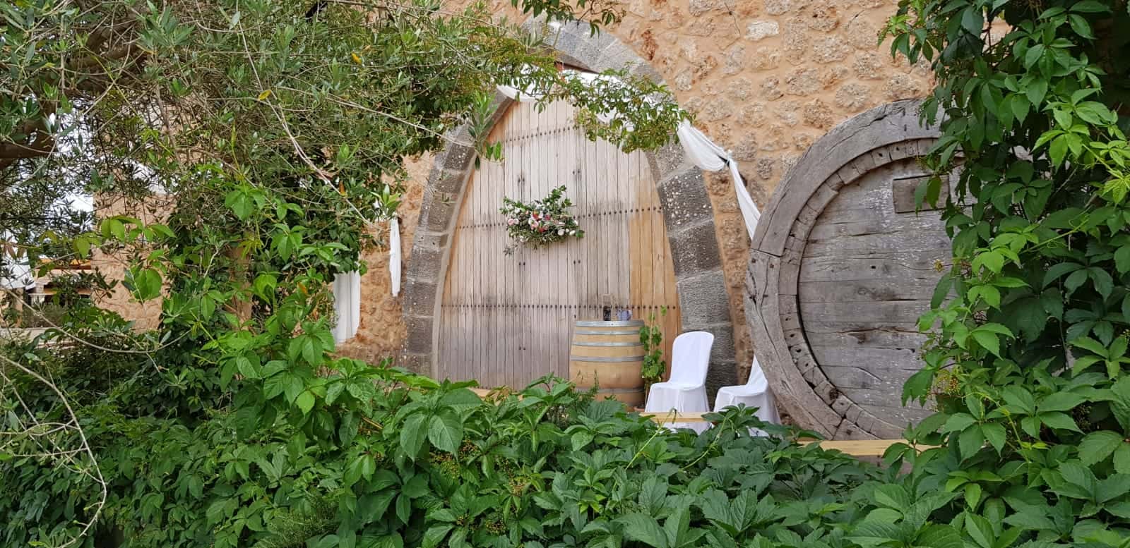 Bodegas Ángel 7