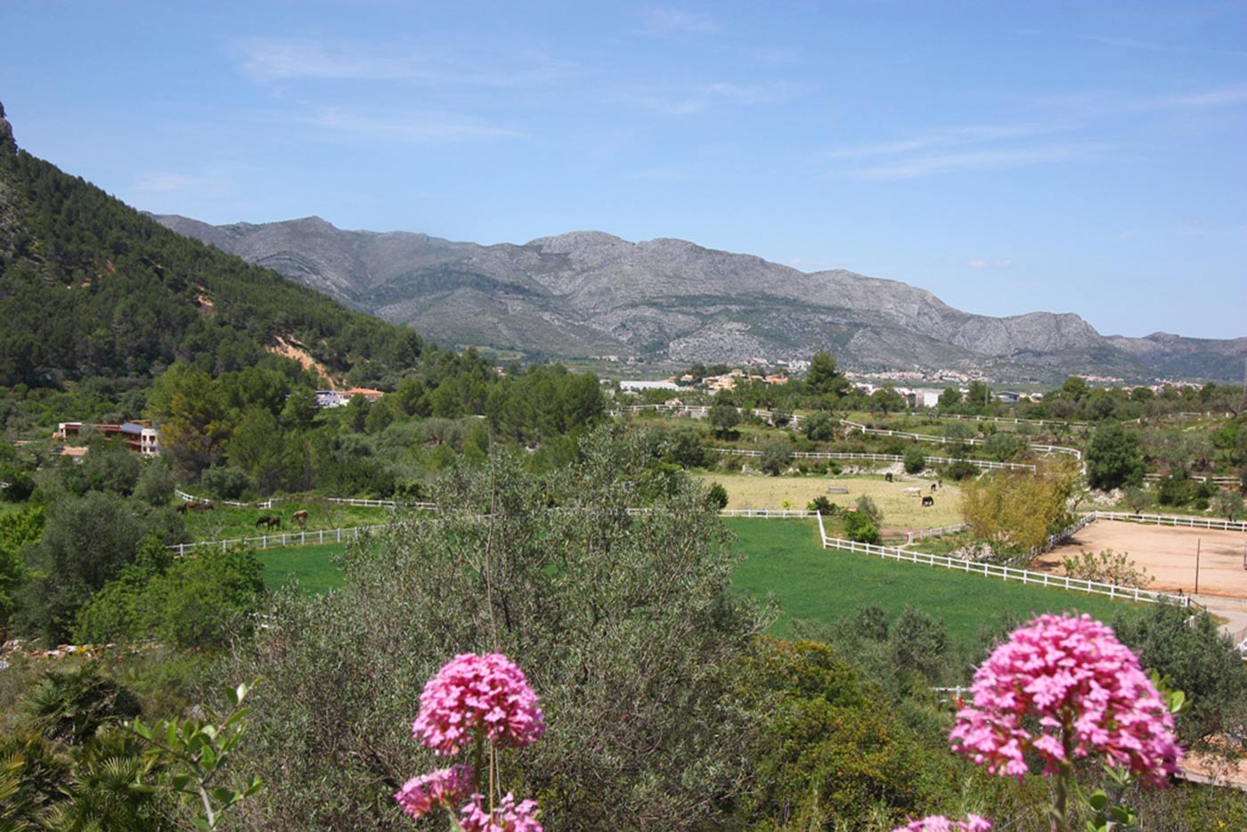 Casa Santonja 5