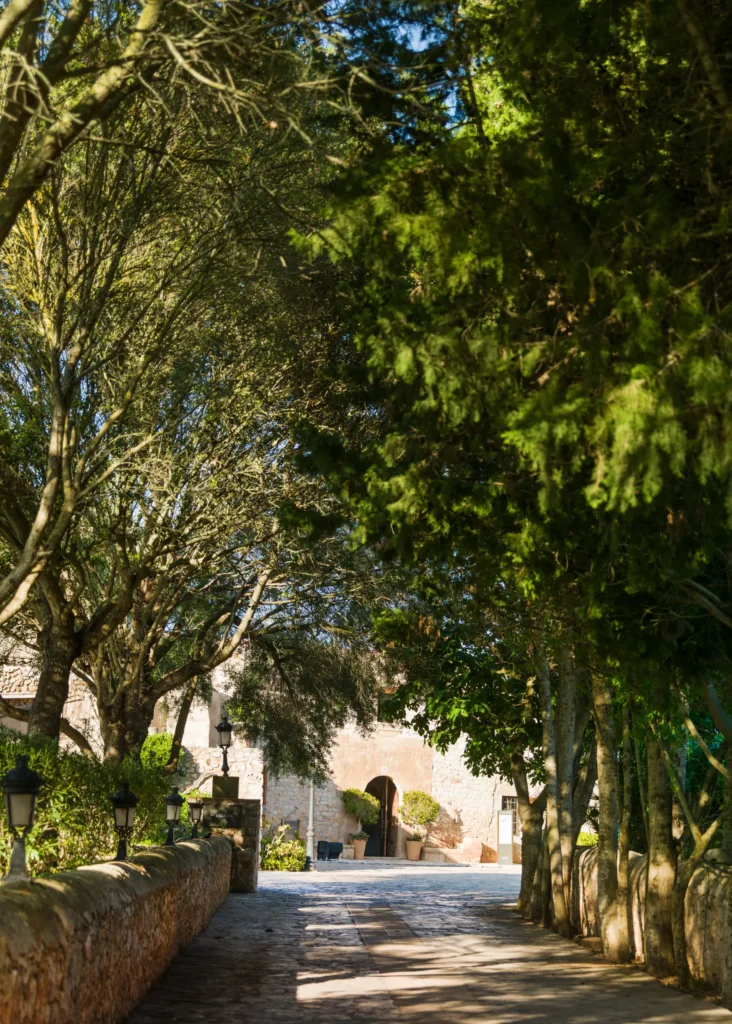 Hotel Hacienda de Abajo 8