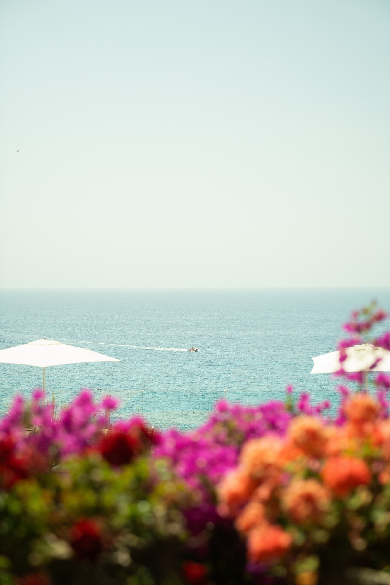 Hotel Roger de Flor by Seleqtta 8