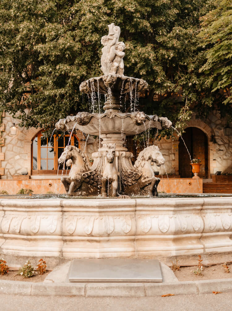 Mas de Sant Llei 7