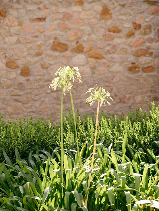 Monestir de Sant Salvi 2