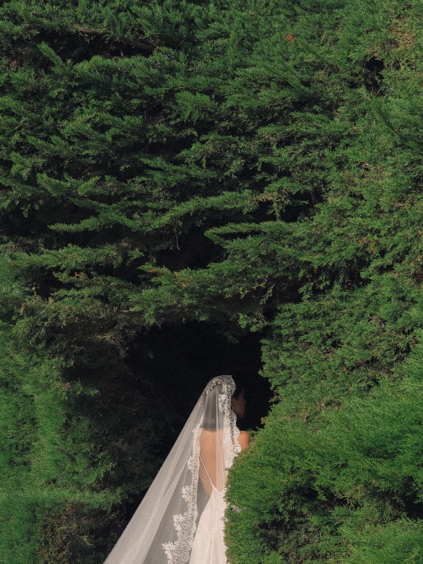 Dalmare Photo 作品 1