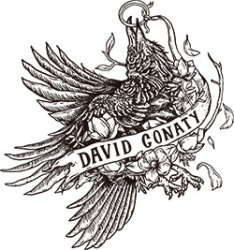 David Conaty Photography