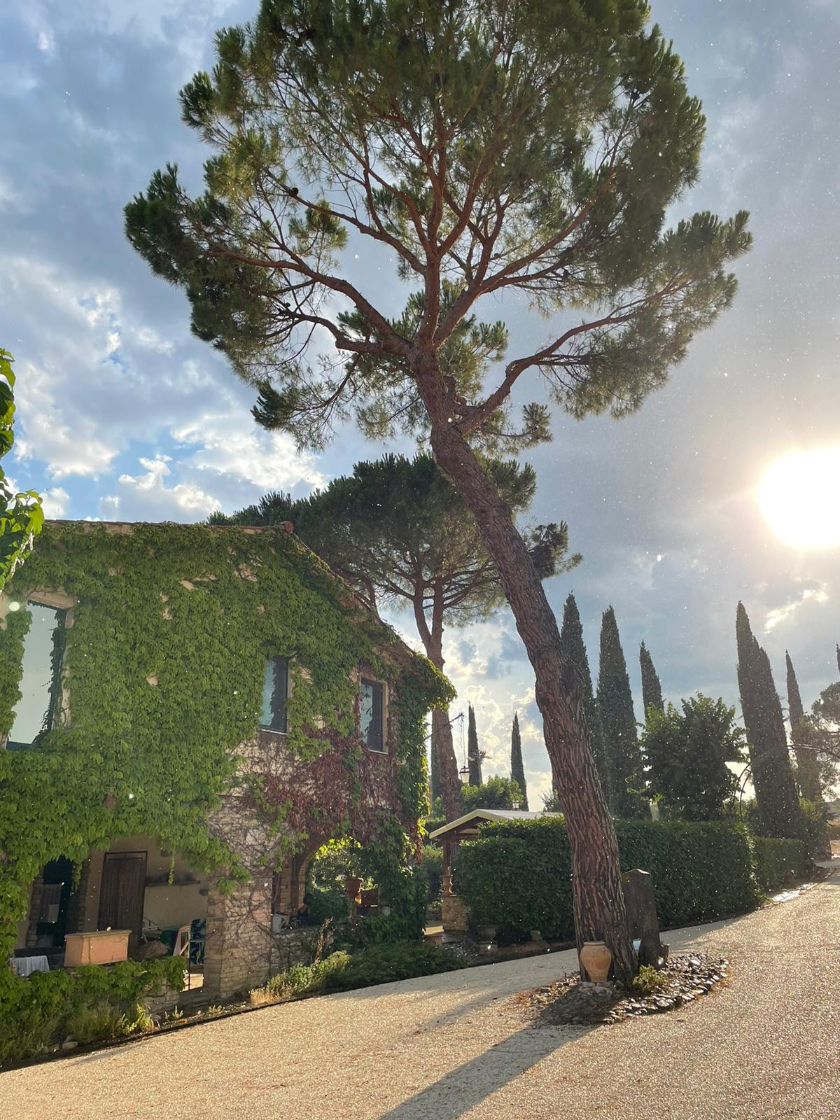 Agriturismo Pieve del Castello 7