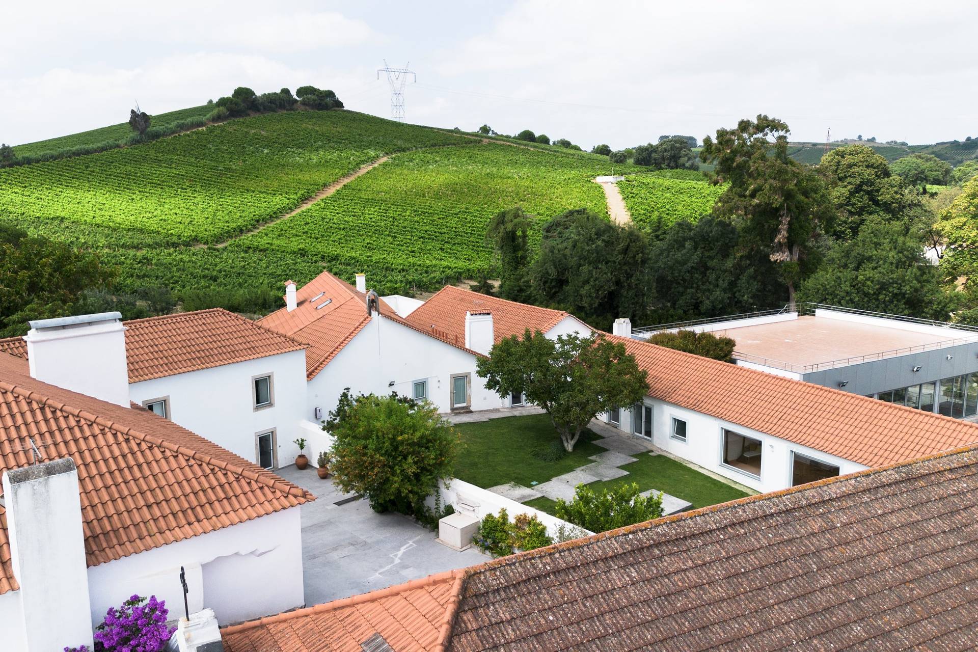 Quinta do Boiro 2