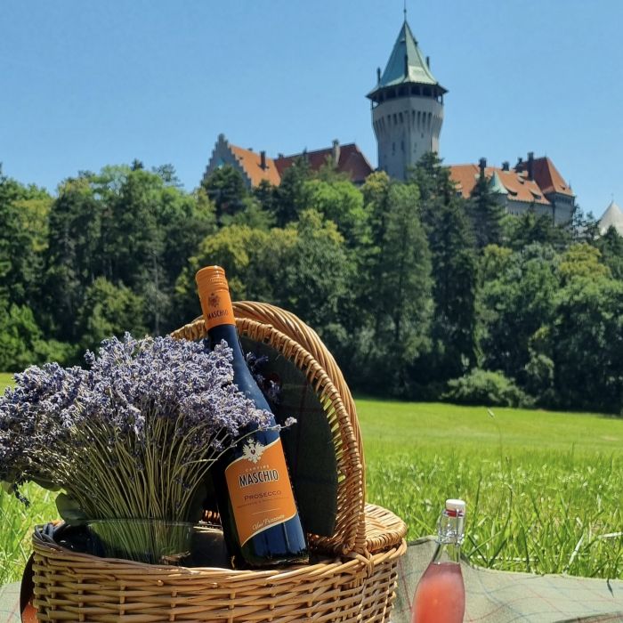 Smolenice Castle 5