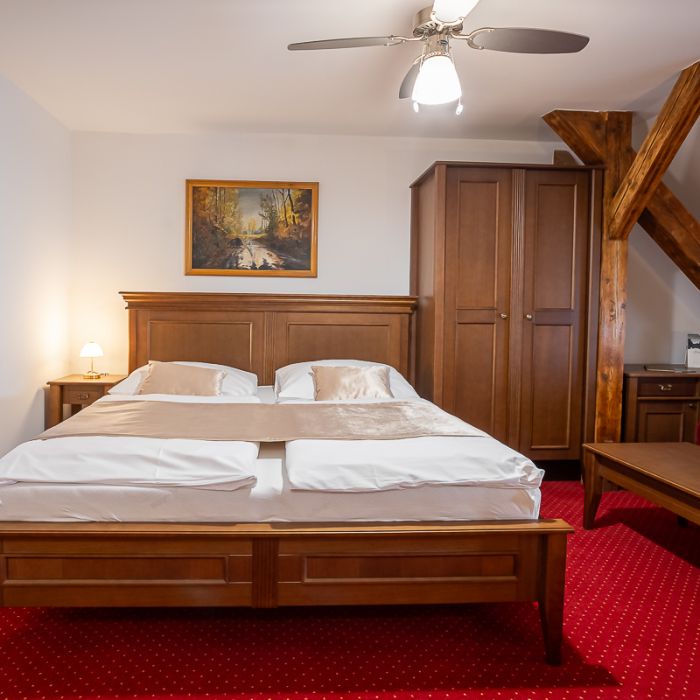 Smolenice Castle 8