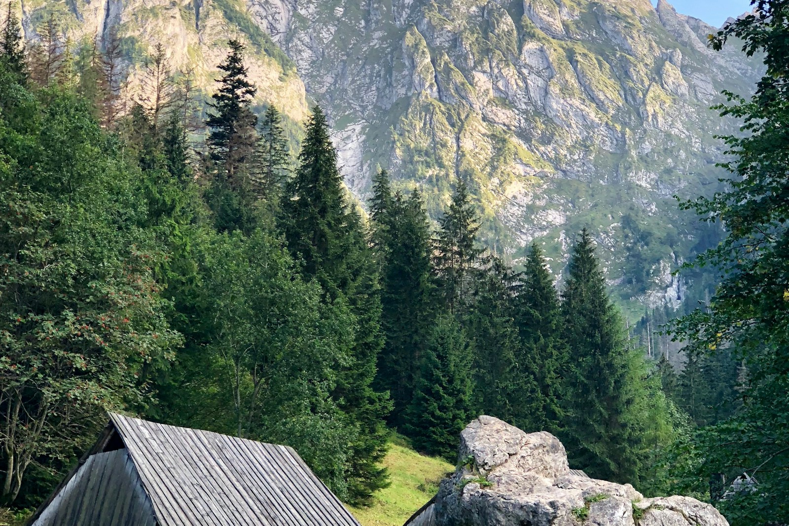 扎科帕内塔特拉山