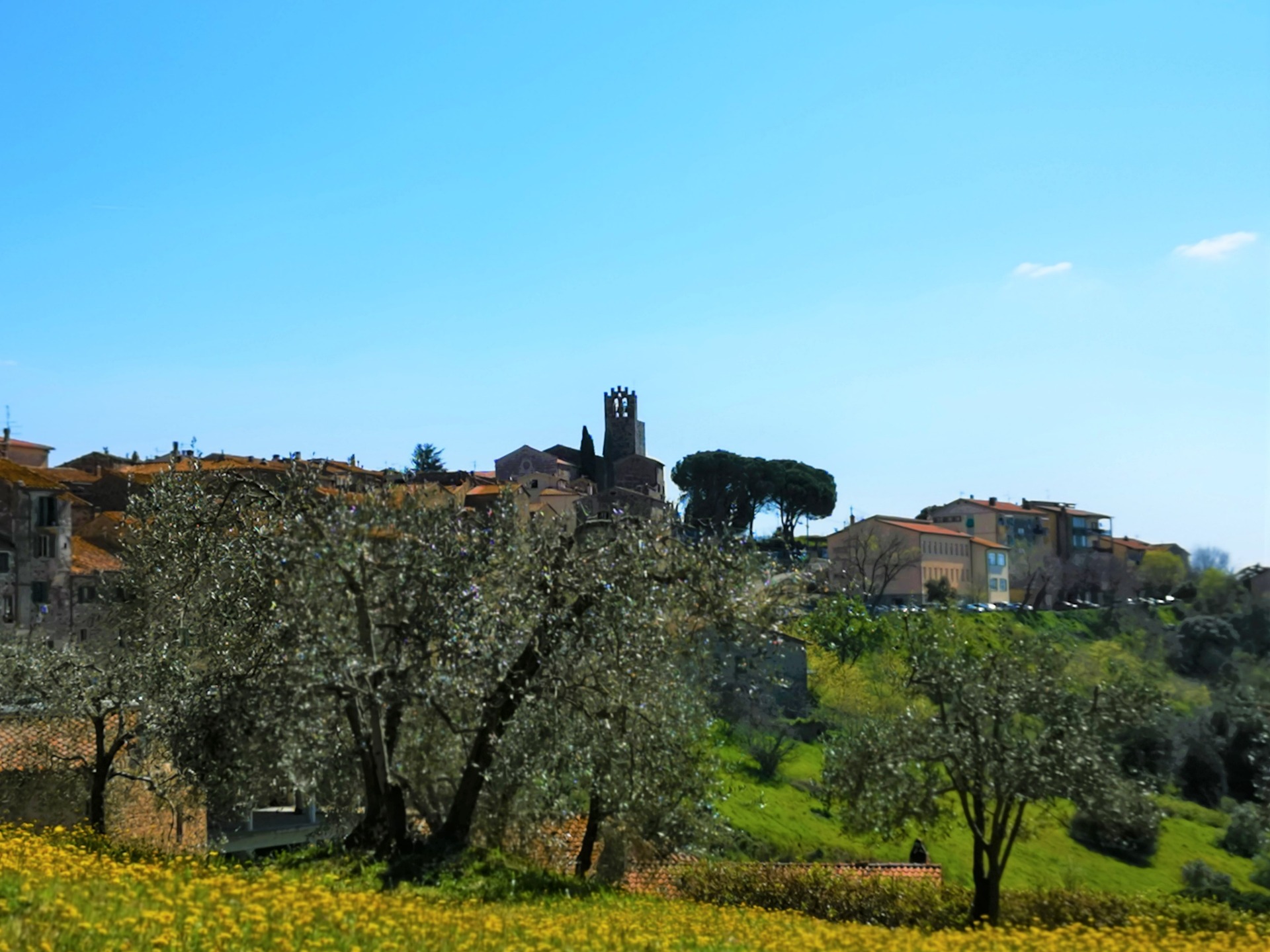 Villa Bellaria