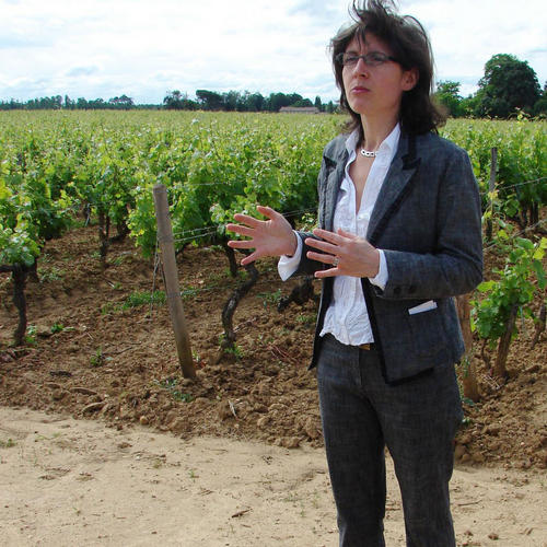 克里蒙堡 (Château Climens)