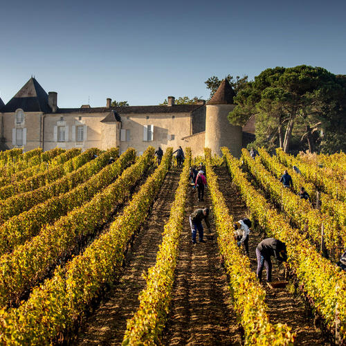 滴金酒庄 (Château d'Yquem)